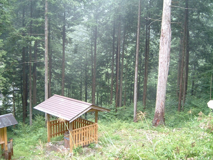 伊勢神宮式年遷宮の御神木